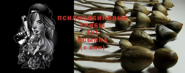 марки nbome Белокуриха