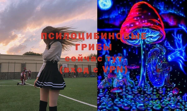 apvp Беломорск