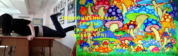 амф Белоозёрский