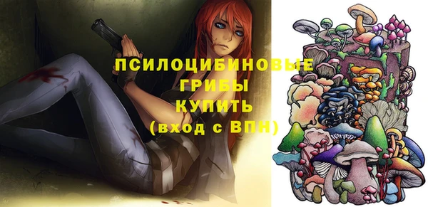 марки nbome Белокуриха