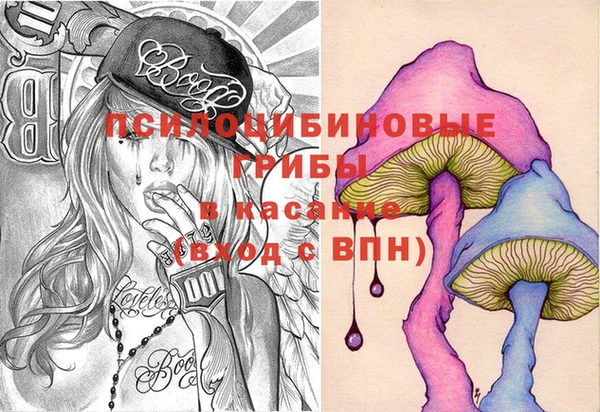 apvp Беломорск