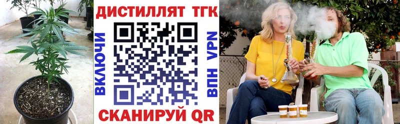 Дистиллят ТГК Wax  Курлово 